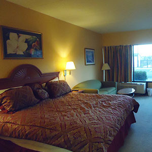 Travel Inn King Rooms